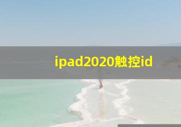 ipad2020触控id