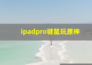 ipadpro键鼠玩原神