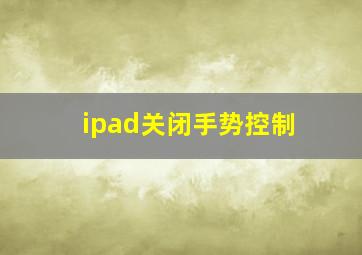 ipad关闭手势控制