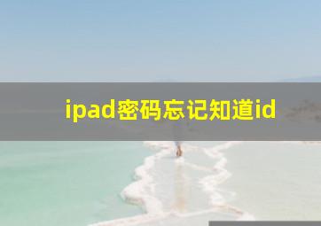 ipad密码忘记知道id