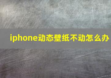 iphone动态壁纸不动怎么办