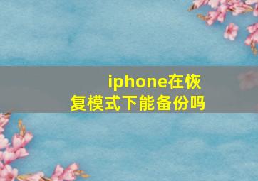 iphone在恢复模式下能备份吗