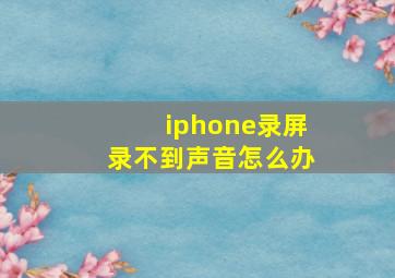 iphone录屏录不到声音怎么办