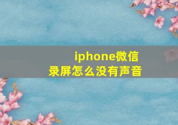 iphone微信录屏怎么没有声音