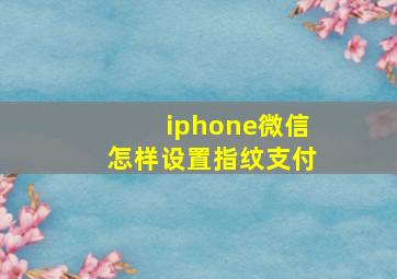 iphone微信怎样设置指纹支付