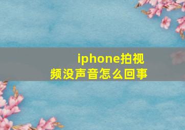 iphone拍视频没声音怎么回事