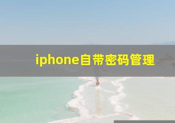 iphone自带密码管理