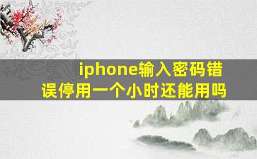 iphone输入密码错误停用一个小时还能用吗