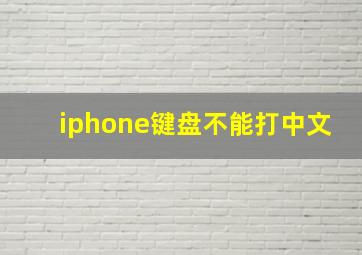 iphone键盘不能打中文