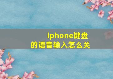 iphone键盘的语音输入怎么关