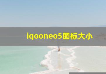 iqooneo5图标大小