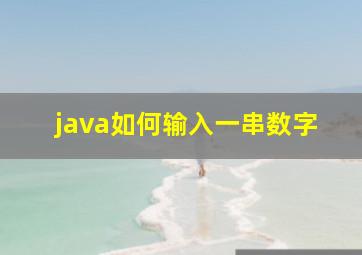 java如何输入一串数字