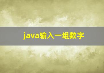 java输入一组数字