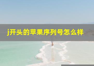 j开头的苹果序列号怎么样