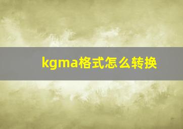 kgma格式怎么转换