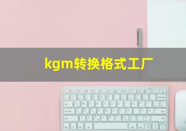 kgm转换格式工厂