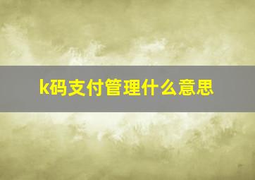 k码支付管理什么意思