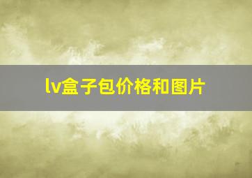 lv盒子包价格和图片