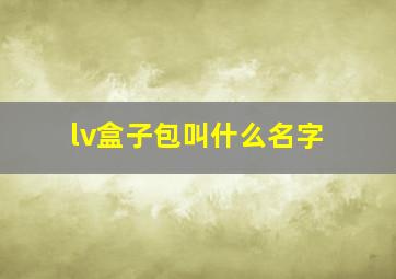 lv盒子包叫什么名字