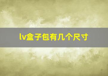 lv盒子包有几个尺寸