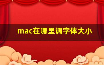 mac在哪里调字体大小