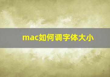 mac如何调字体大小