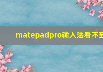 matepadpro输入法看不到