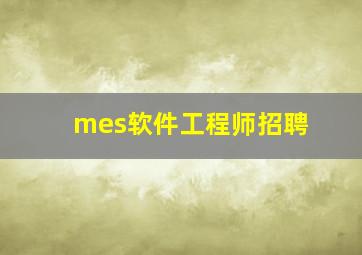 mes软件工程师招聘