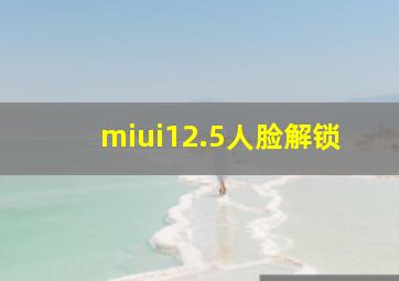 miui12.5人脸解锁