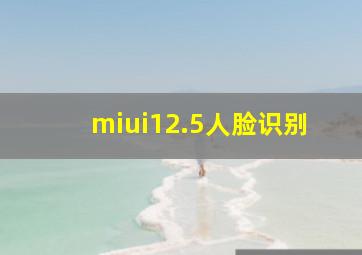 miui12.5人脸识别