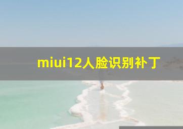 miui12人脸识别补丁