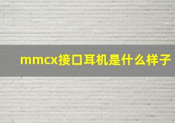 mmcx接口耳机是什么样子