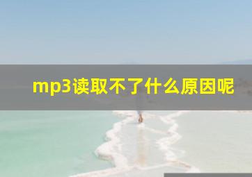 mp3读取不了什么原因呢