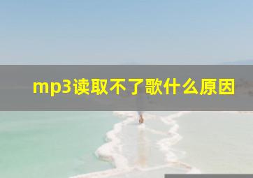 mp3读取不了歌什么原因