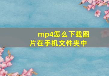 mp4怎么下载图片在手机文件夹中