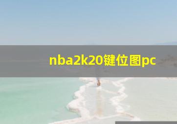 nba2k20键位图pc