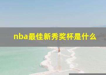 nba最佳新秀奖杯是什么