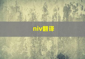 niv翻译