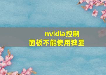 nvidia控制面板不能使用独显