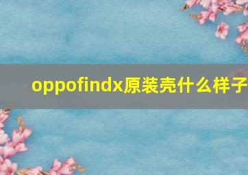 oppofindx原装壳什么样子