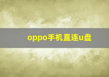 oppo手机直连u盘