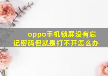 oppo手机锁屏没有忘记密码但就是打不开怎么办