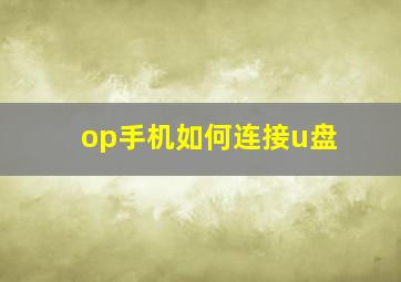 op手机如何连接u盘