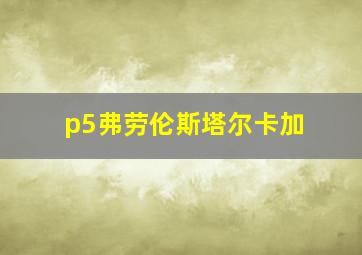 p5弗劳伦斯塔尔卡加