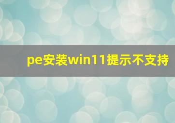 pe安装win11提示不支持