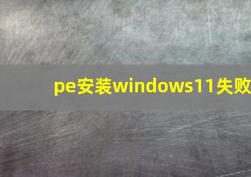 pe安装windows11失败