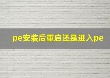 pe安装后重启还是进入pe