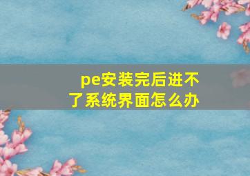 pe安装完后进不了系统界面怎么办