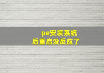 pe安装系统后重启没反应了