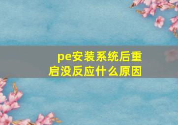 pe安装系统后重启没反应什么原因